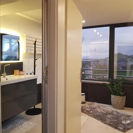 パノラマブリック アパート メッツィンゲン