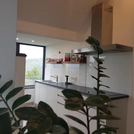 Panoramablick Lägenhet Metzingen (Tubingen)